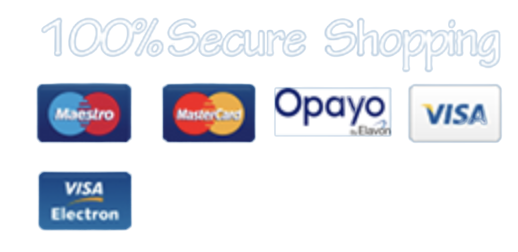 100% Secure Shopping