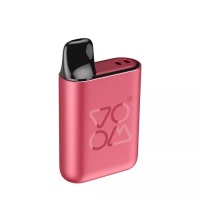 Voom Pod Mod Starter Kit - Strawberry Ice Flavour